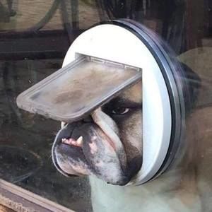 Meet your Posher, Victor